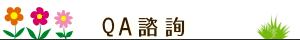 彰化花店-線上諮詢