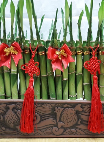 埔鹽鄉花店_鹿港鎮花店同濟會會長交接_彰化市花店