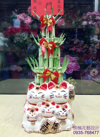 草屯花店開幕招財竹盆栽_親戚開店送發財竹盆栽