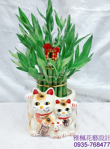 客戶開店送盆栽推薦彰化縣員林市花店,雲林縣虎尾鎮花店,彰化花店