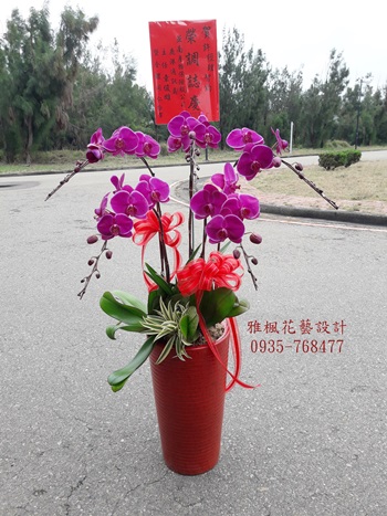 社頭鄉花店,田中鎮花店開幕誌慶蘭花盆栽