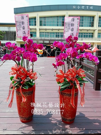 伸港鄉花店_溪州鄉花店喜慶蝴蝶蘭花盆栽