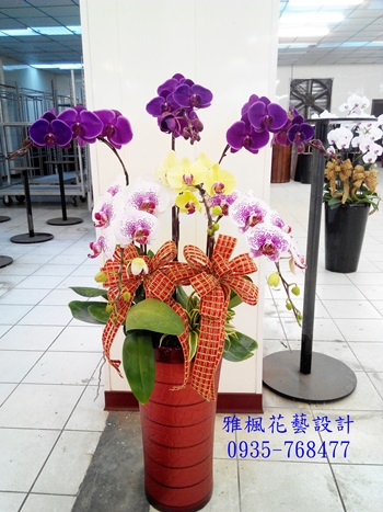 雅楓花藝社頭花店送蘭花到社頭鄉第六公墓殯儀館_大城鄉花店_