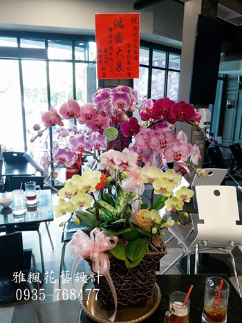 雲林縣崙背鄉花店總部成立蘭花盆栽,