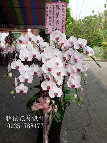 爺爺過世送蝴蝶蘭花盆栽彰化花店,彰化縣埔心鄉花店喪事蘭花