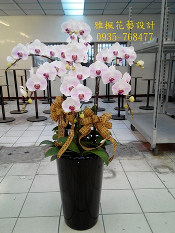 彰化縣芳苑鄉花店,免運費送花服務彰化縣社頭鄉花店