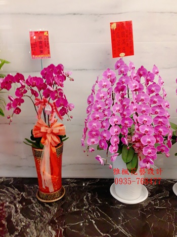 彰化縣二林鎮花店,朋友開幕祝賀蘭花彰化縣鹿港鎮花店