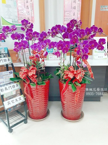 南投縣水里鄉花店,南投縣仁愛鄉花店喜事蝴蝶蘭花盆栽