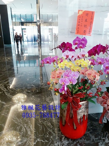南投縣埔里鎮花店親戚新居落成蘭花盆栽,南投縣國姓鄉花店