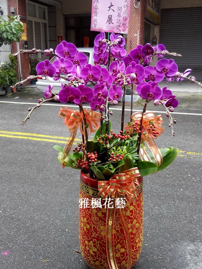 水里花店_校長榮陞蘭花盆栽員林花店_雅楓花藝設計
