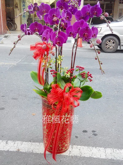 大埤花店長官榮調蘭花盆栽_彰化花店喜事蘭花盆栽_雅楓花藝設計