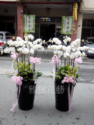 東勢花店喪事蘭花盆栽雅楓花藝設計_彰化花店_員林花店