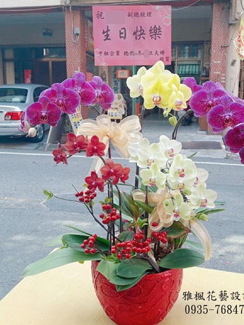 草屯花店,朋友結婚送蘭花盆栽集集花店