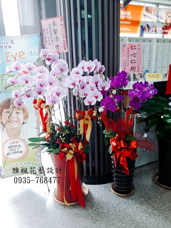 朋友文定送蘭花盆栽鹿谷花店,竹山花店喜事送蝴蝶蘭花盆栽雲林花店新居落成祝賀蘭花盆栽彰化花坊