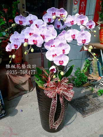 花壇花店台中市立殯儀館送蘭花台中西區,溪州花店公司同仁過世送蘭花草屯花坊_鹿港老街附近花店送花服務