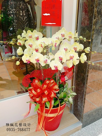 社頭花店,大城花店蘭花盆栽外送服務