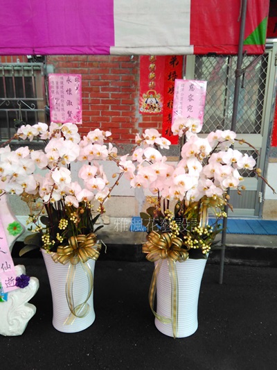 斗六花店,斗南花店,弔慰蘭花盆栽虎尾花店