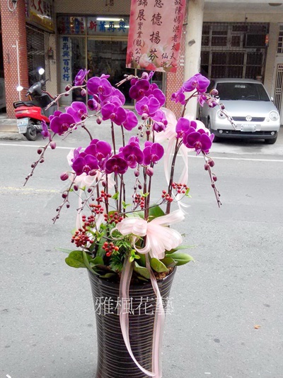 麥寮花店，校長榮任蘭花盆栽東勢花店，褒忠花店