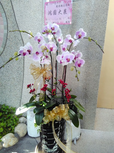西螺花店,土庫花店開幕蘭花盆栽北港花店,雅楓花店
