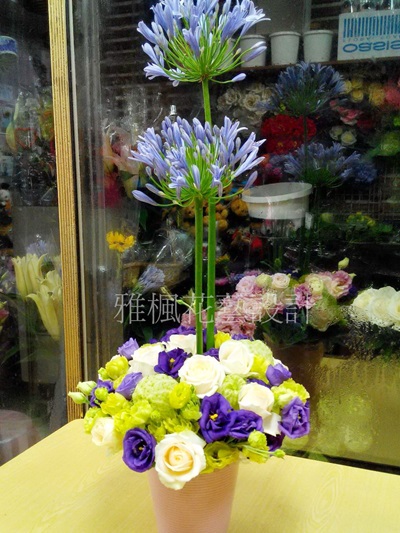 林內花店,二崙花店新廠落成盆花,崙背花店