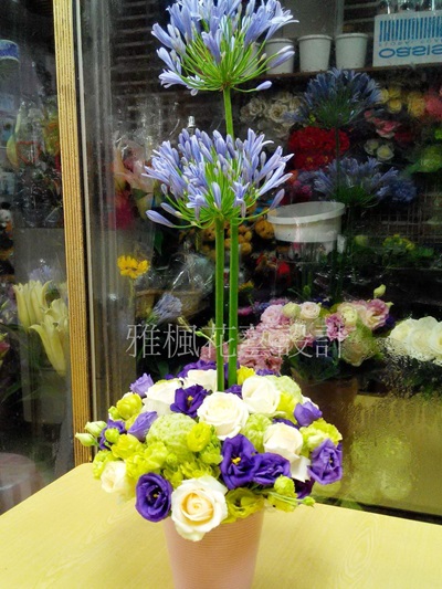 林內花店，二崙花店新廠落成盆花，崙背花店