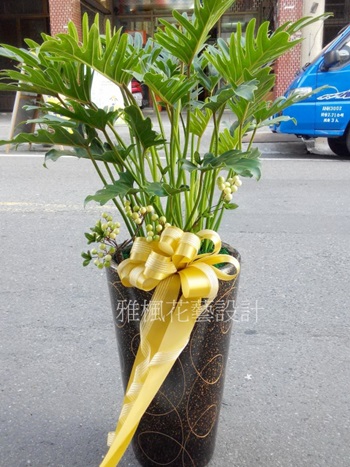 四湖花店,開幕盆栽和美花店,展覽演出成功盆栽斗南花店