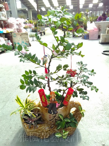 芬園花店便宜盆栽,伸港花店,線西花店