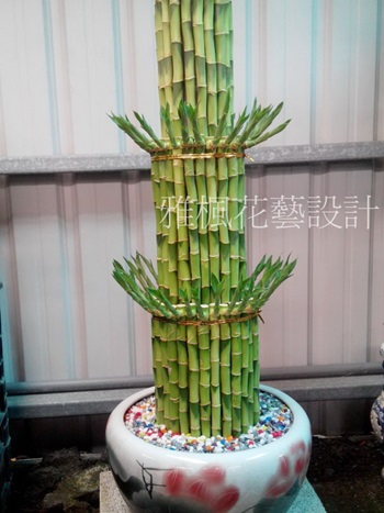 工廠落成祝賀植栽田中花店,大城花店,田尾花店室內植物送開幕