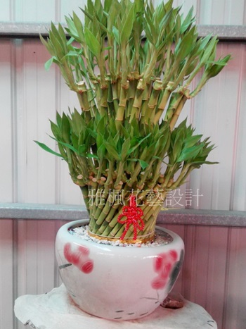 永靖花店,芳苑花店,社頭花店免運費外送服務0935768477