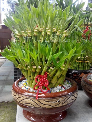 秀水花店,埔鹽花店,彰化員林花店2022年二十六周年慶(1996成立)彰化市花店
