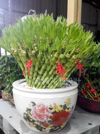 福興花店廠商新廠落成送盆栽,南投花店專人專車代客送花服務,草屯花店