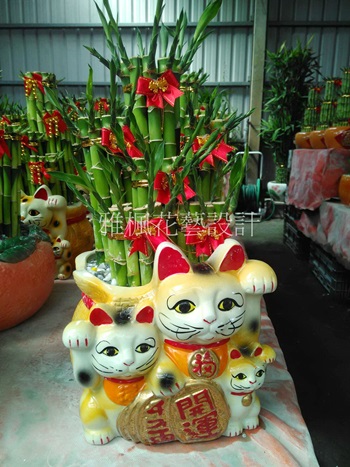 雲林縣土庫鎮花店,雲林縣北港鎮花店親戚開店送室內植物,雲林縣東勢鄉花店