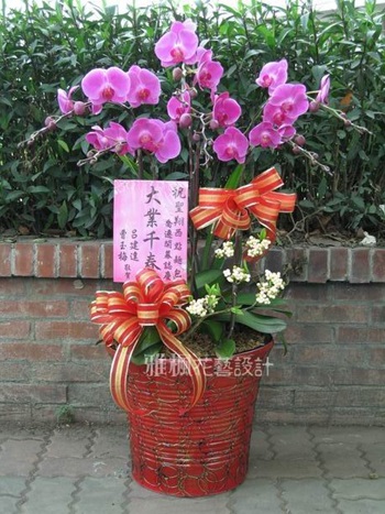 田尾鄉花店跟同事合送開幕蘭花盆栽,二林鎮花店,大城鄉花店