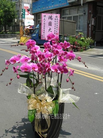 彰化市花店,蝴蝶蘭花免外送費埤頭鄉花店,鹿港鎮花店