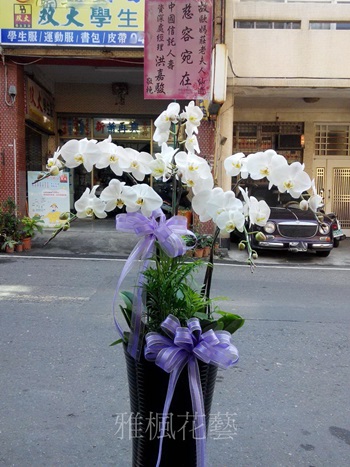 殯儀館蘭花外送田中花店，雅楓花店，花壇花店