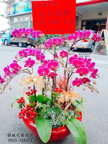 草屯花房開幕蘭花伸港花店,雅楓花店蝴蝶蘭盆栽斗六花坊