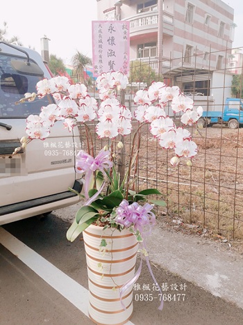 花壇花店,溪州花店彰化雅楓花店