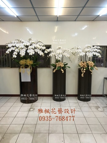 喪事送蘭花推薦0935768477彰化市花店,埔鹽花店公祭蝴蝶蘭花盆栽