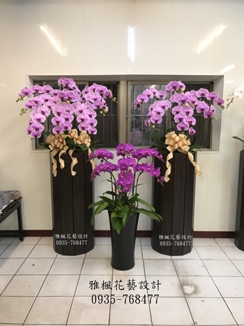 蘭花盆栽外送服務大城花店，送蘭花盆栽到喪家田尾花店