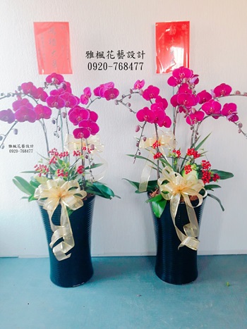 南投仁愛花店蘭花盆栽祝賀用，雅楓花店朋友開店蘭花盆栽祝賀
