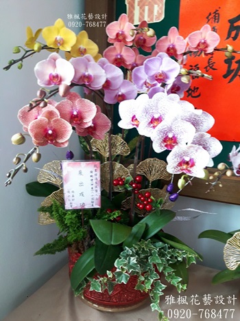 台中北區花店畫展蘭花祝賀,台中中區花店