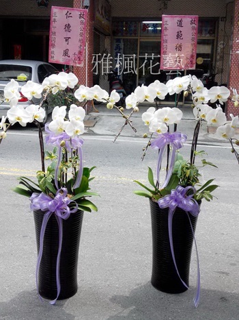 二崙花店送蘭花盆栽到喪家致哀_彰化花店_雅楓花藝設計