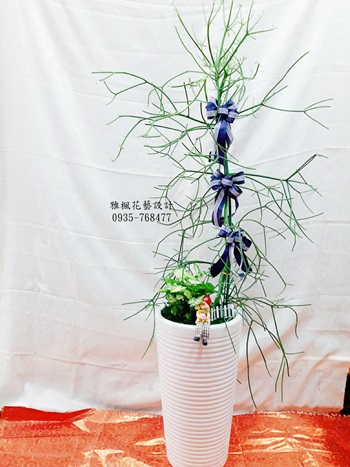 雲林縣水林鄉花店賀禮盆栽,喬遷祝福盆栽雲林縣斗六市花店