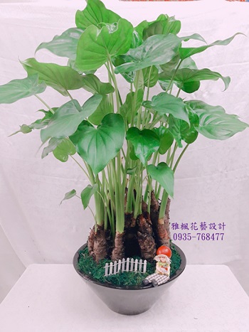 雅楓花店員林優質花店實體店面22年,中寮鄉花店