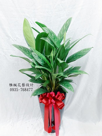 和美花店,適合送開幕的禮物埔心花店