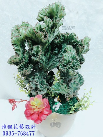 開店祝賀盆栽莿桐鄉花店,風水盆栽古坑鄉花店
