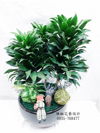 虎尾鎮花店,朋友開店推薦禮品0935768477彰化花店外送盆栽