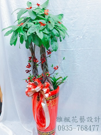 開幕盆栽台中大安區花店_台中大肚區花店工廠落成盆栽