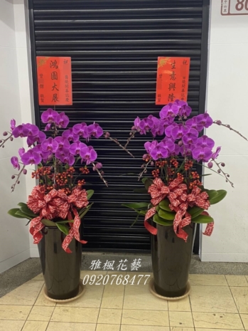 褒忠花店開店送蘭花盆栽四湖花店