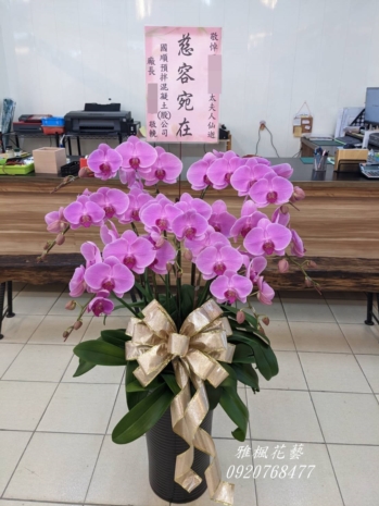 伸港花店喪事公祭蘭花盆栽&伸港鄉立殯儀館彰化縣伸港鄉中華路670巷121號